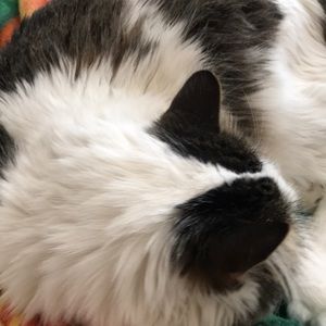 Meet your Posher, Colleen